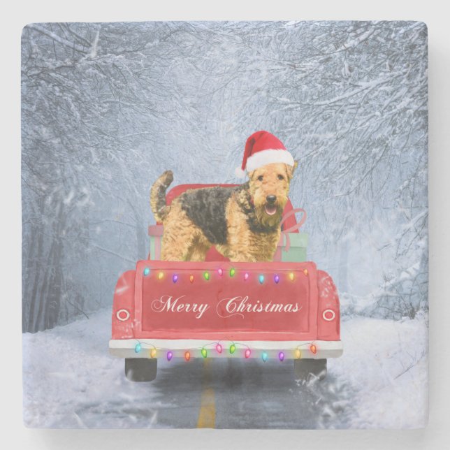 Airedale Terrier Dog in Snow sitting in Christmas  Stone Coaster (Front)