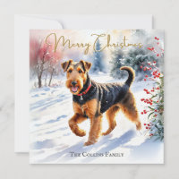 Airedale Terrier Dog In Winter Snow Christmas
