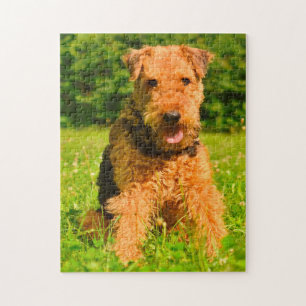 Airedale Terrier Dog. Jigsaw Puzzle