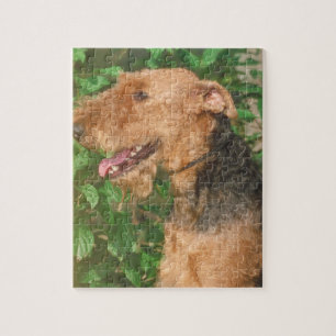 Airedale Terrier Dog Puzzle