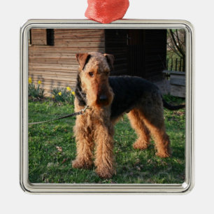 Airedale_Terrier full.png Metal Tree Decoration