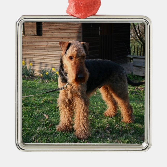 Airedale_Terrier full.png Metal Tree Decoration (Front)