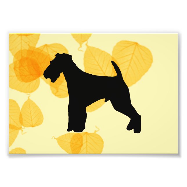 Airedale Terrier Gold Leaves Photo Print (Front)