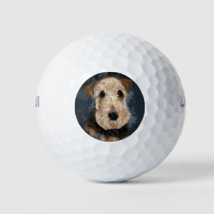  AIREDALE TERRIER        GOLF BALLS