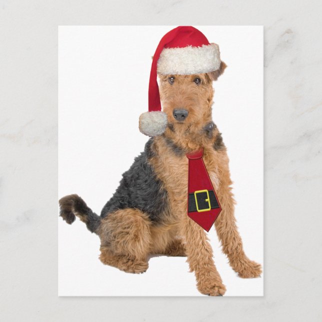 Airedale Terrier In Santa Hat Holiday Postcard (Front)