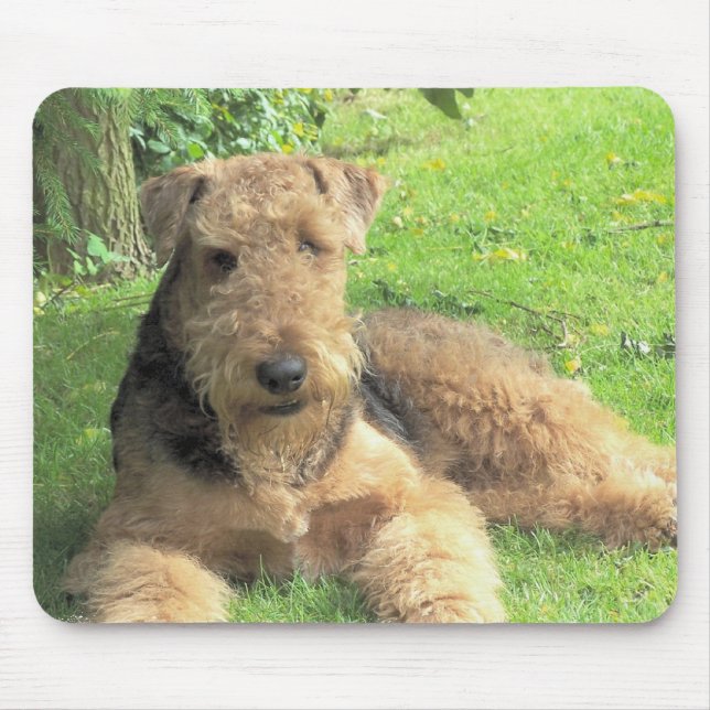 Airedale Terrier Mouse Pad (Front)