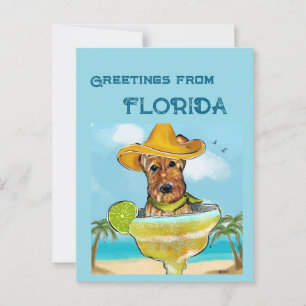 Airedale Terrier  Postcard