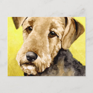 Airedale Terrier Postcards