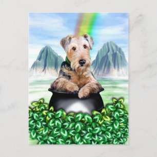 Airedale Terrier Pot of Gold Postcard
