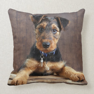 Airedale terrier puppy cushion