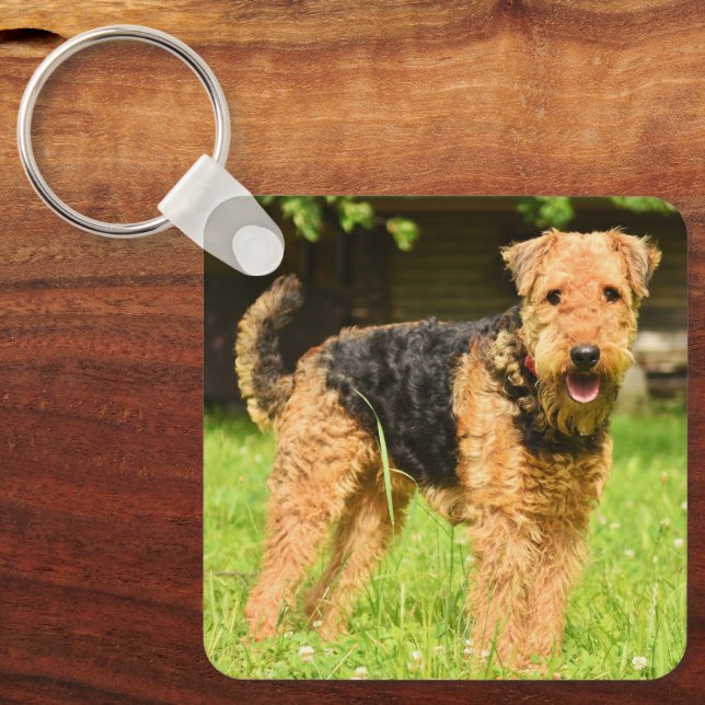 Airedale Terrier Puppy Dog Key Ring (Front)