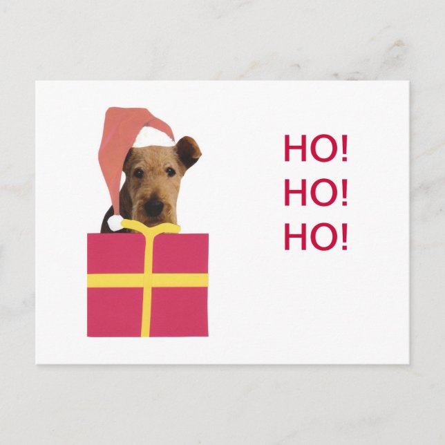 Airedale Terrier Santa Hat Gift Box Holiday Postcard (Front)