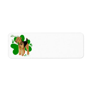 Airedale Terrier St Paddy