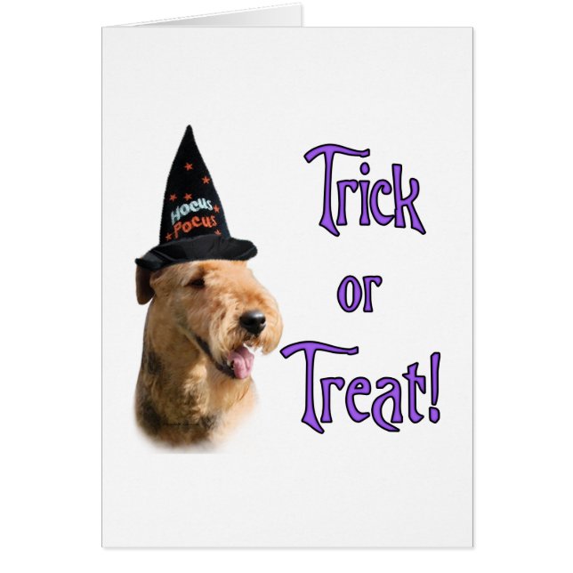 Airedale Terrier Trick (Front)