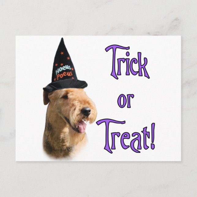 Airedale Terrier Trick Postcard (Front)