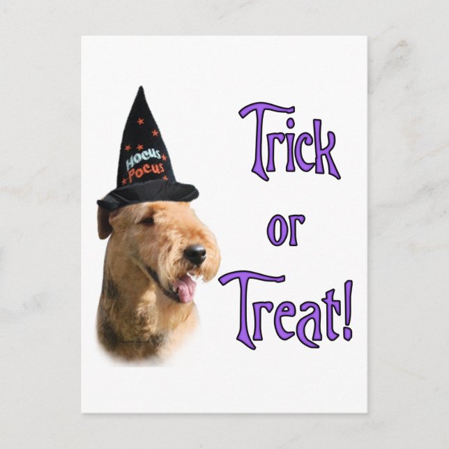 Airedale Terrier Trick Postcard (Front)