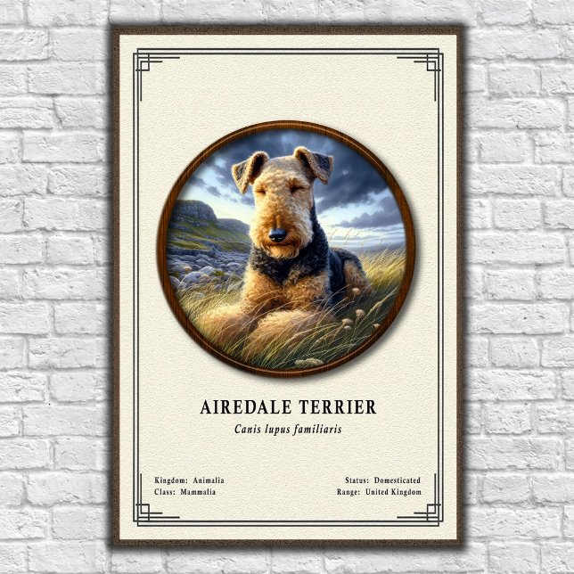 Airedale Terrier Zoology Series Poster (Creator Uploaded)