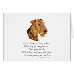 Airedale, Welsh, Lakeland Terrier Keepsake