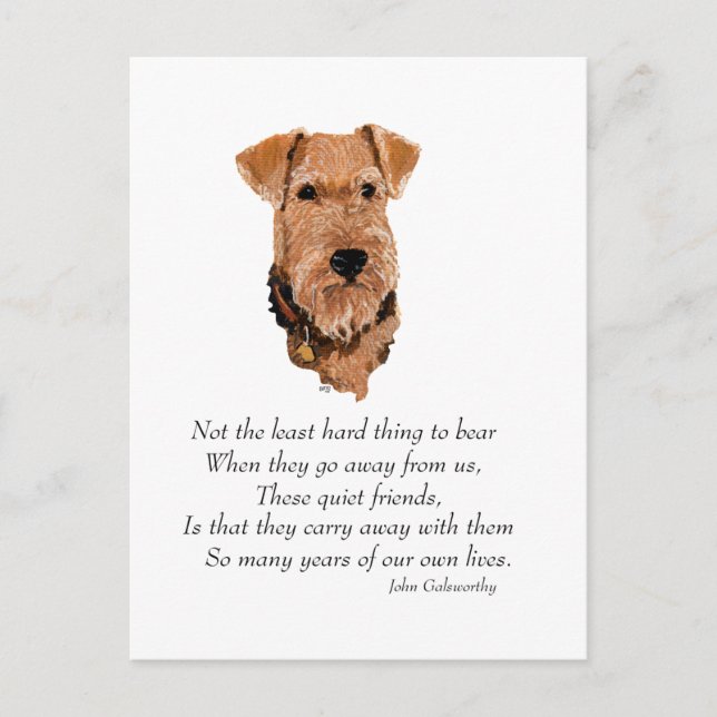 Airedale, Welsh, Lakeland Terrier Keepsake Postcard (Front)