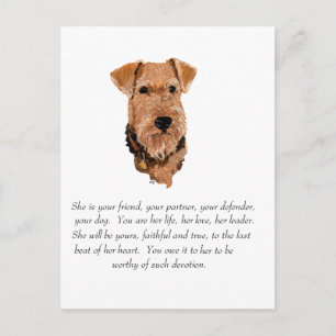 Airedale, Welsh, Lakeland Terrier Keepsake Postcard
