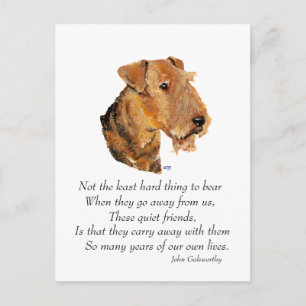 Airedale, Welsh, Lakeland Terrier Keepsake Postcard