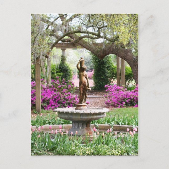Airlie Gardens, Wilmington, NC Postcard (Front)