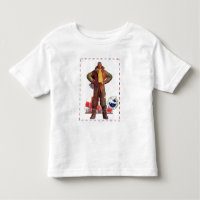 Airmail Pilot