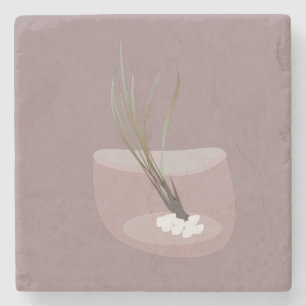 Airplant Tillandsia Plants Terarrium Blush Pink Stone Coaster