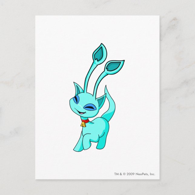 Aisha Blue Postcard (Front)