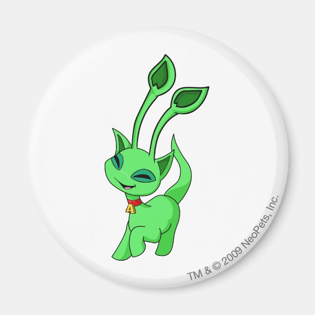 Aisha Green Magnet (Front)