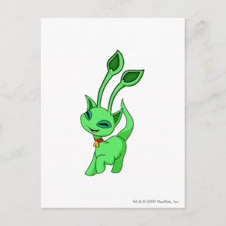 Aisha Green Postcard