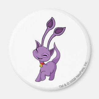 Aisha Purple Magnet
