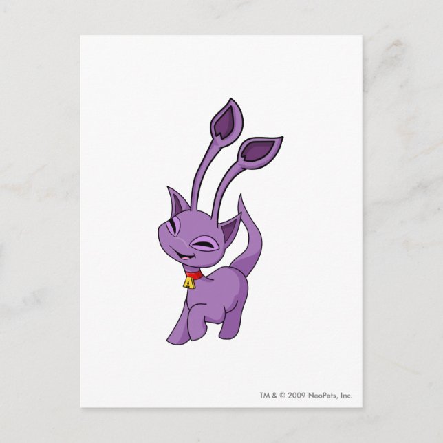Aisha Purple Postcard (Front)