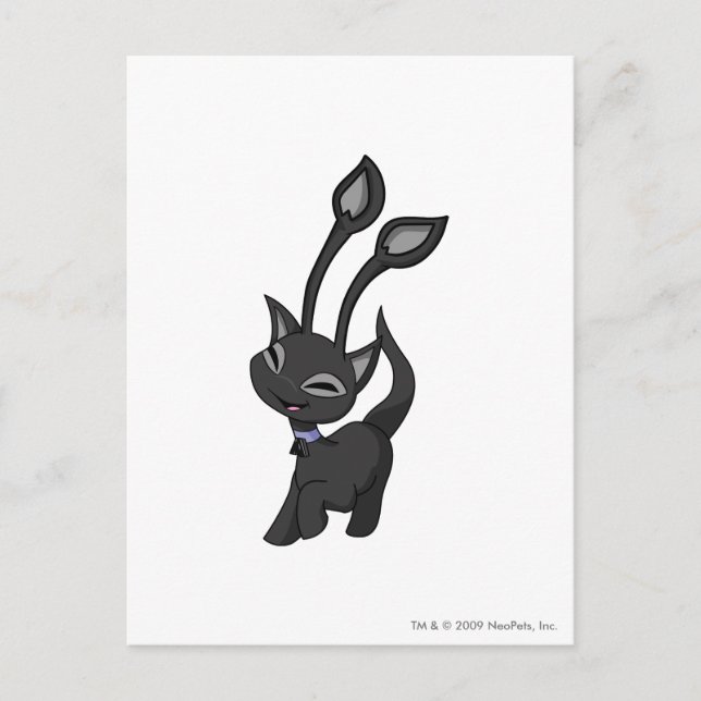 Aisha Shadow Postcard (Front)