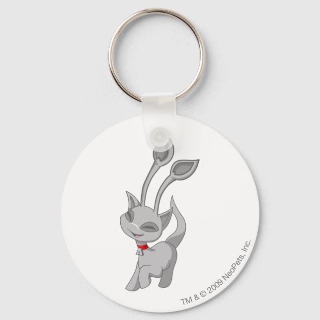 Aisha Silver Key Ring (Front)
