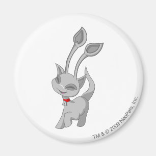 Aisha Silver Magnet