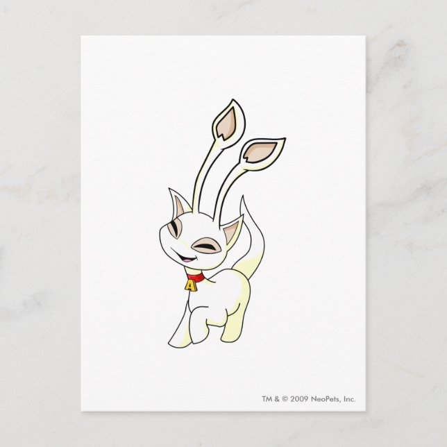 Aisha White Postcard (Front)