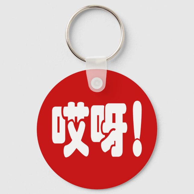 Aiya! 哎呀! OMG! Chinese Hanzi Language Key Ring (Front)