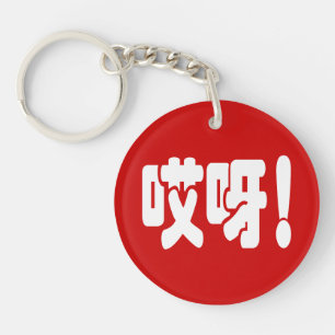 Aiya! 哎呀! OMG! Chinese Hanzi Language Key Ring