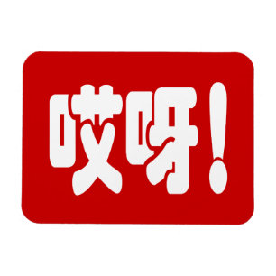 Aiya! 哎呀! OMG! Chinese Hanzi Language Magnet