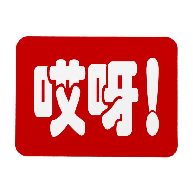 Aiya! 哎呀! OMG! Chinese Hanzi Language Magnet (Horizontal)