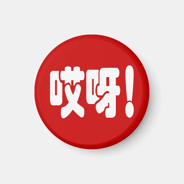 Aiya! 哎呀! OMG! Chinese Hanzi Language Magnet (Front)