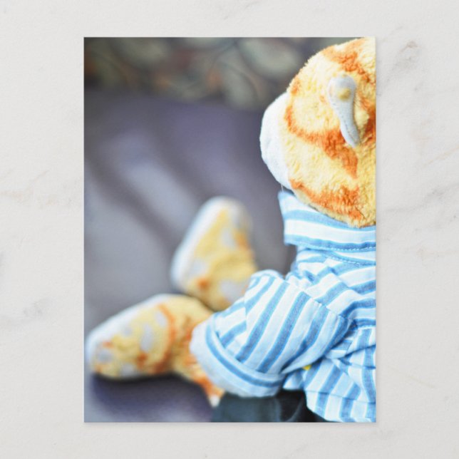 Ajay's Teddy Bear Postcard (Front)