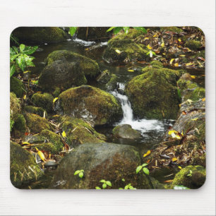 Akaka Fall smaller trail stream 2 Mouse Mat