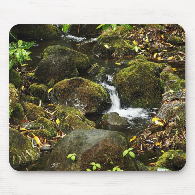 Akaka Fall smaller trail stream 2 Mouse Mat (Front)