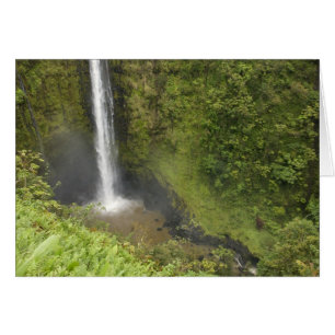 Akaka Falls, Hamakua Coast, Island of Hawaii,