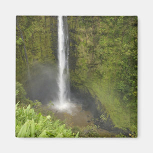 Akaka Falls, Hamakua Coast, Island of Hawaii, Magnet
