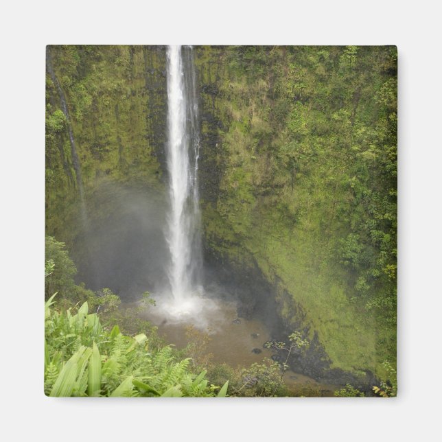 Akaka Falls, Hamakua Coast, Island of Hawaii, Magnet (Front)
