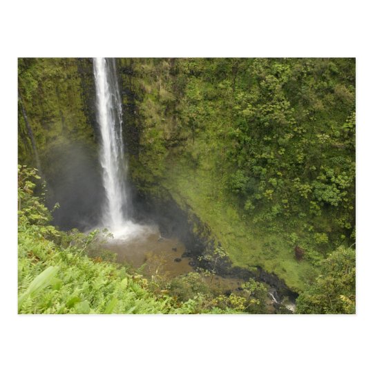 Akaka Falls, Hamakua Coast, Island of Hawaii, Postcard