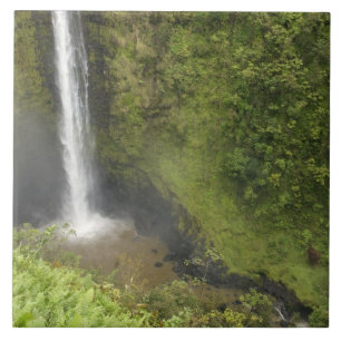 Akaka Falls, Hamakua Coast, Island of Hawaii, Tile